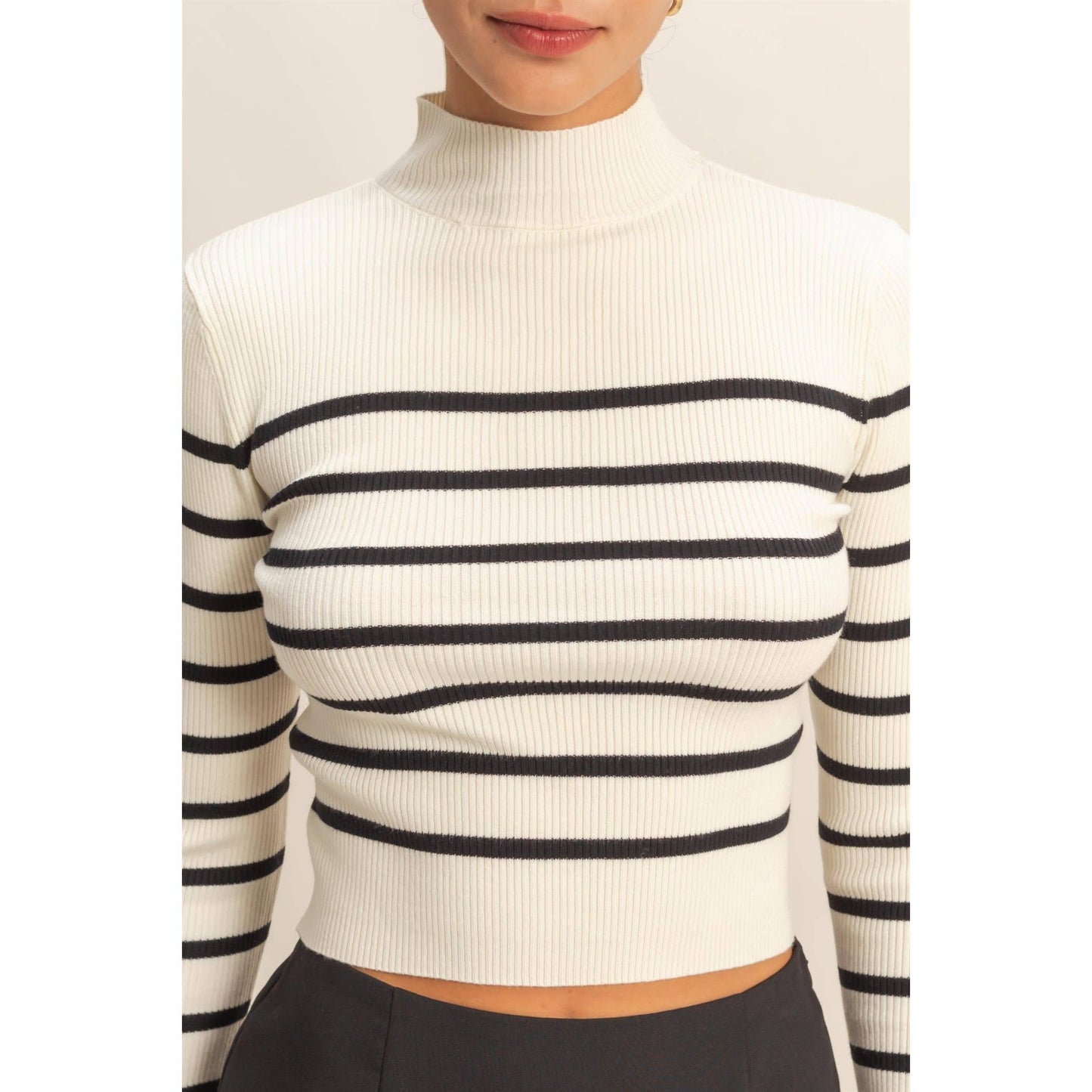 Striped Ribbed High Neck Cropped Knit Top