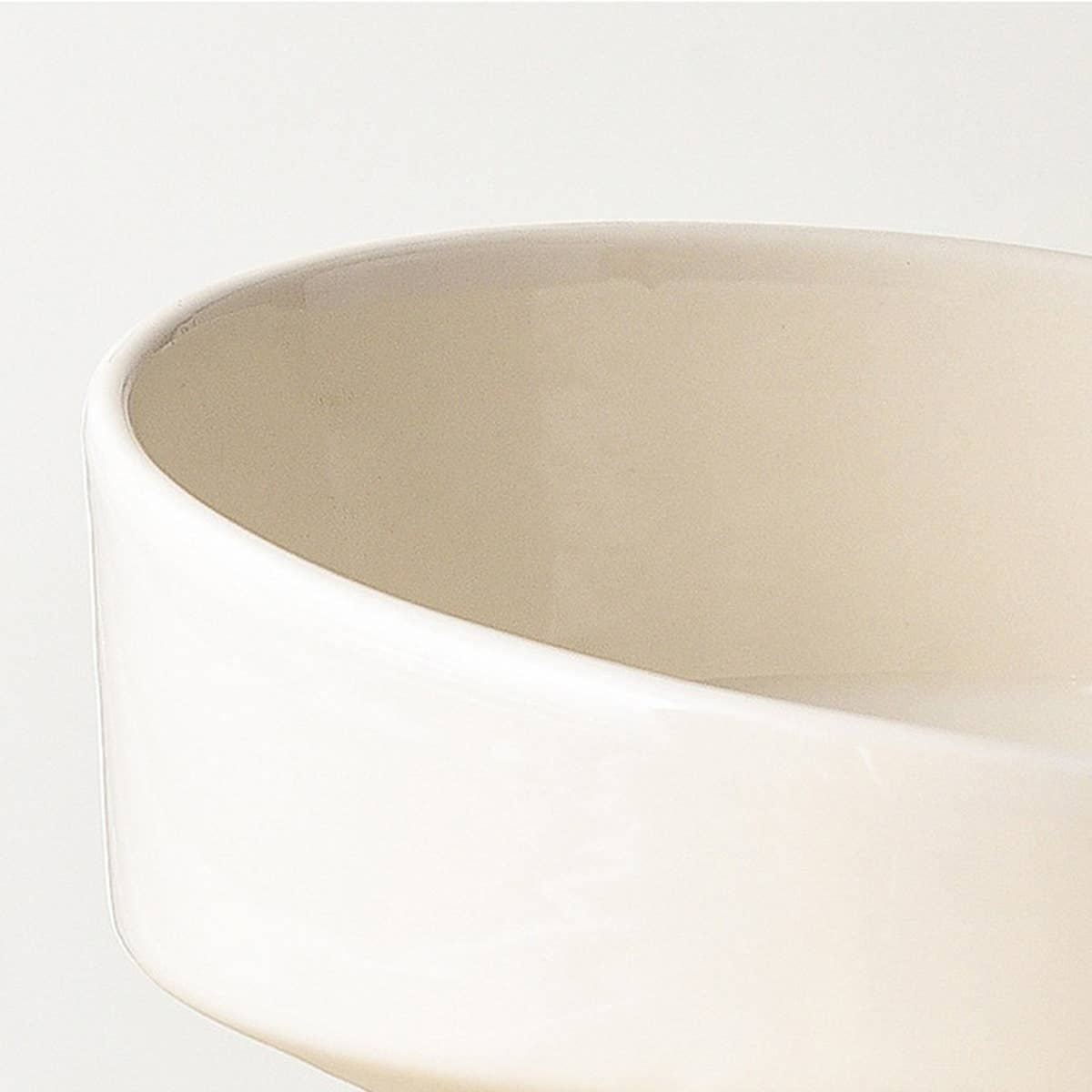 Tilted Raised Ceramic Pet Bowl for Neck Comfort_CWMM5938