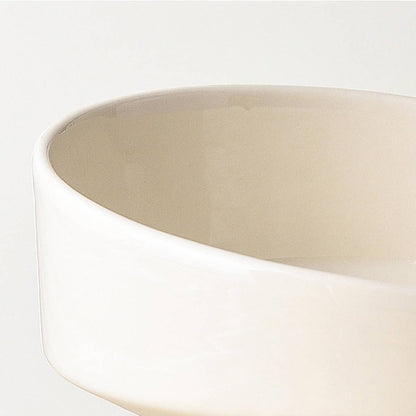 Tilted Raised Ceramic Pet Bowl for Neck Comfort_CWMM5938