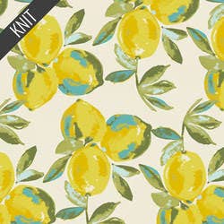Limon COZY CAKES Yarn Cozy