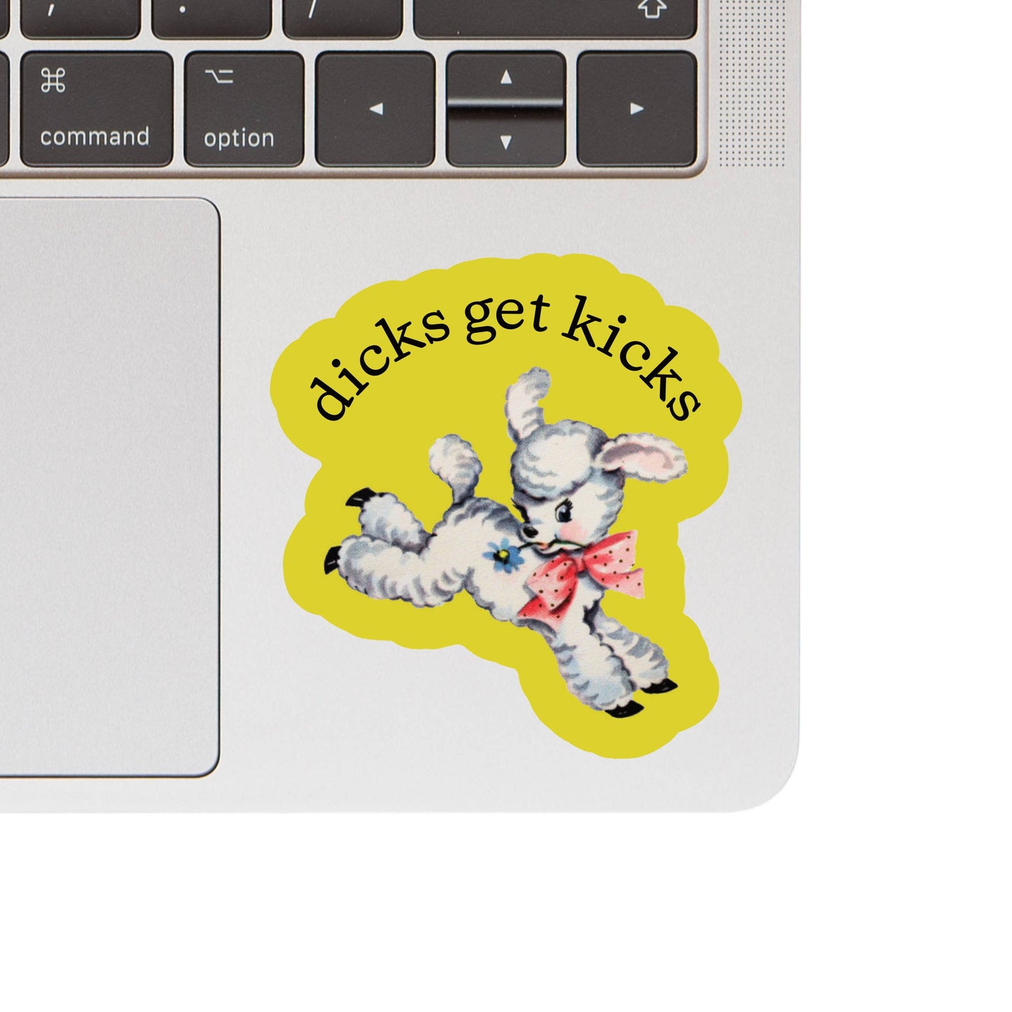 Dicks Get Kicks Funny Sarcastic High Quality Vinyl Sticker