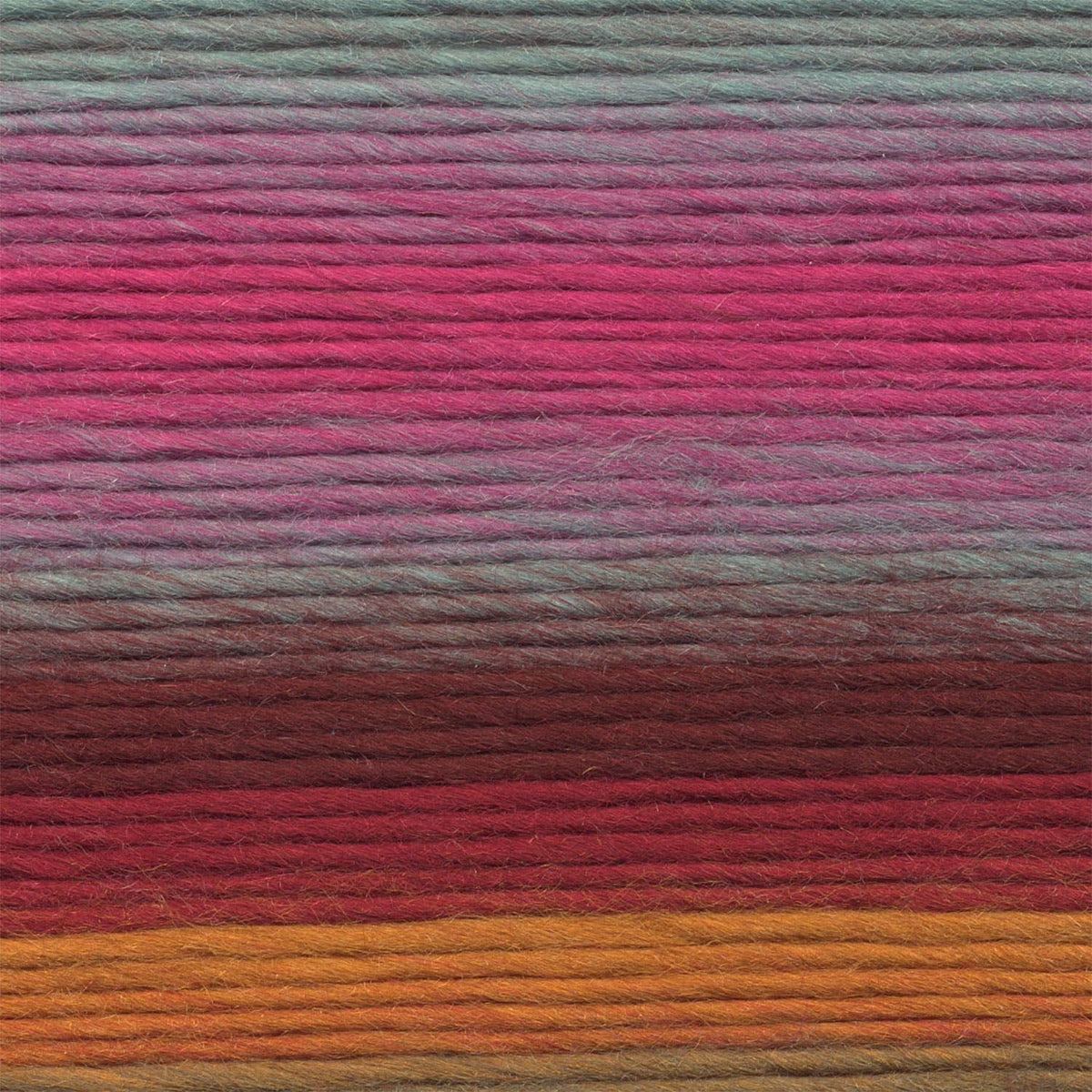Lion Brand Yarn Landscapes  3 Pack