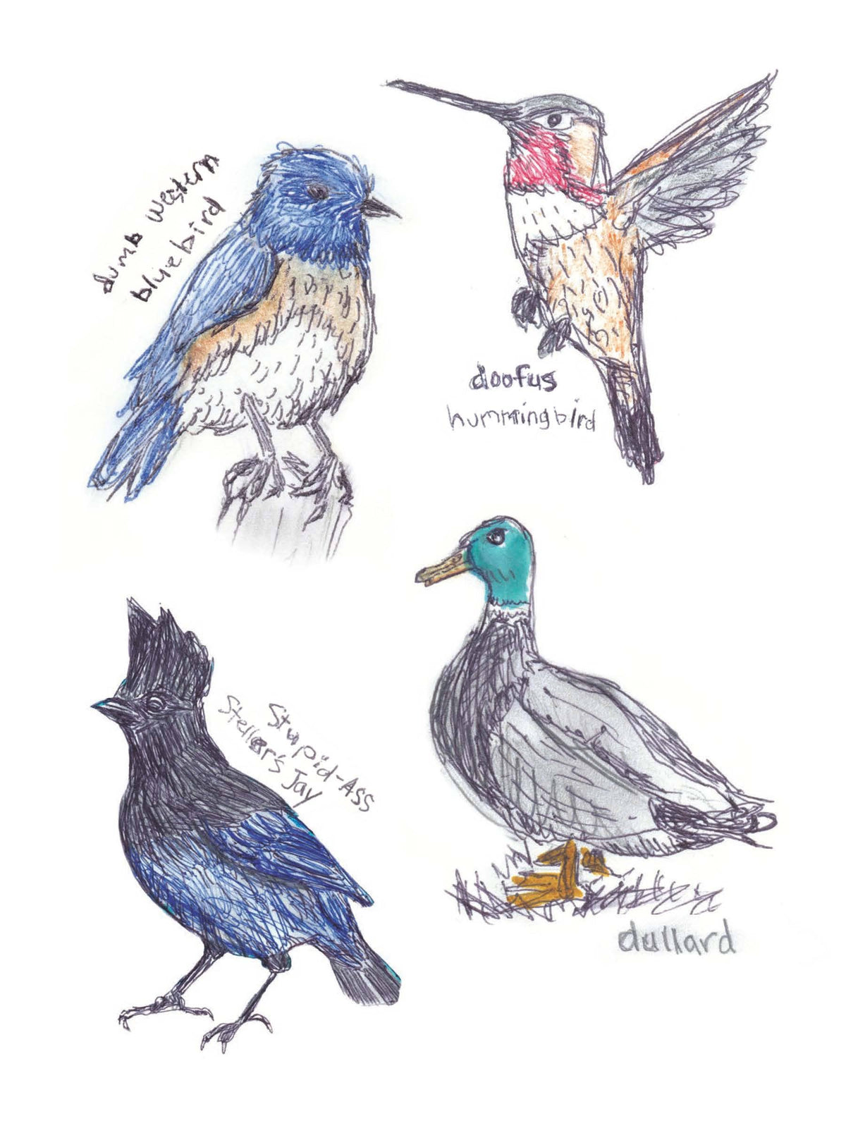 Field Guide to Dumb Birds Sticker Book