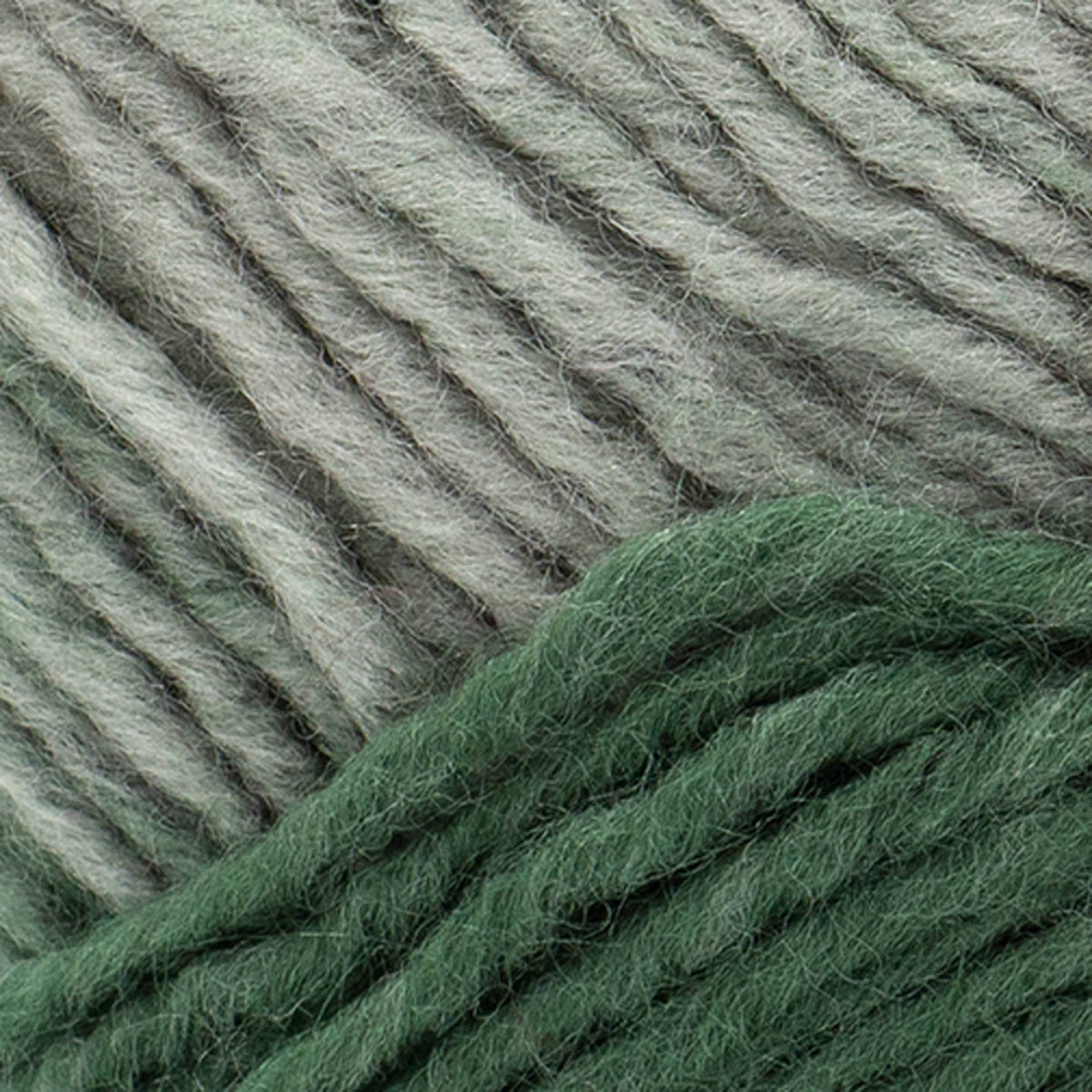 Lion Brand Yarn Scarfie 3 Pack